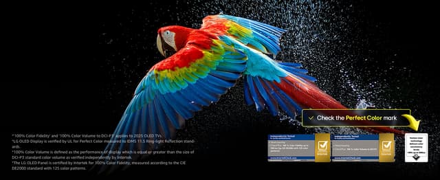 Parrott