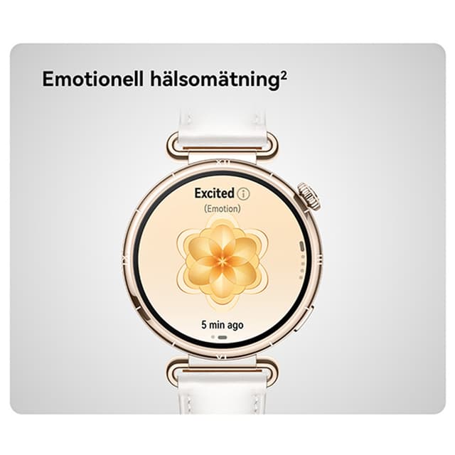  Huawei Watch GT 6 – Emotional Heath Tracking