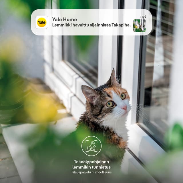 Yale Smart Video Doorbell -ovikello ja sisäänrakennettu tekoäly lemmikin tunnistuksella