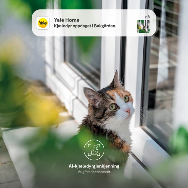 VIDEO DOORBELL_USP9_NO