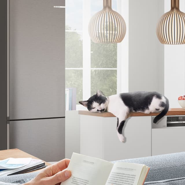 Kissa nukkuu Boschin hiljaisen jääkaappipakastimen vieressä