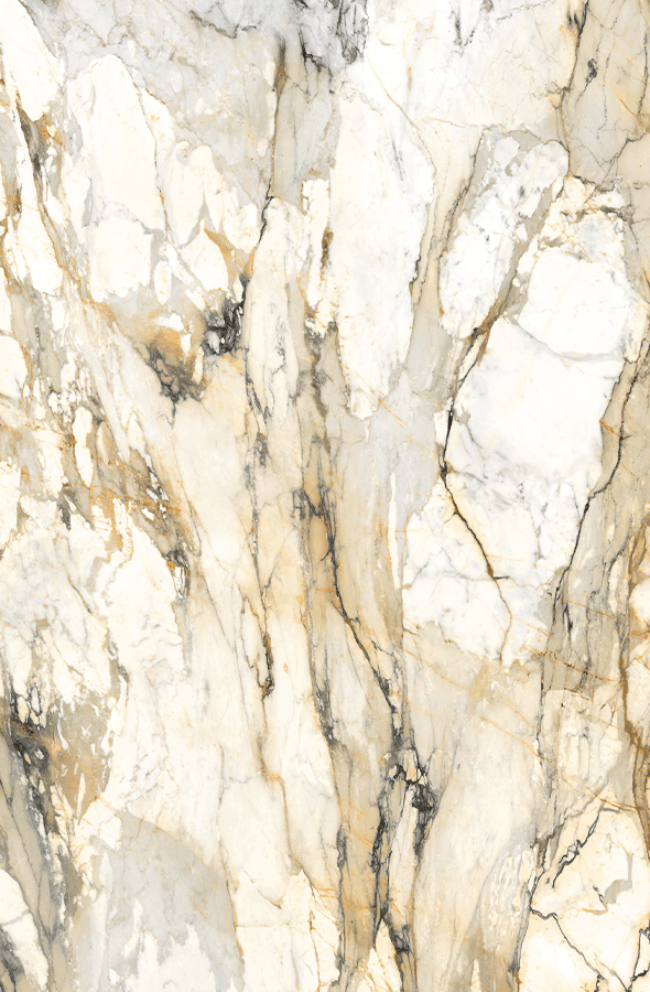 Ceramic Marmo Antico Matt 590x900