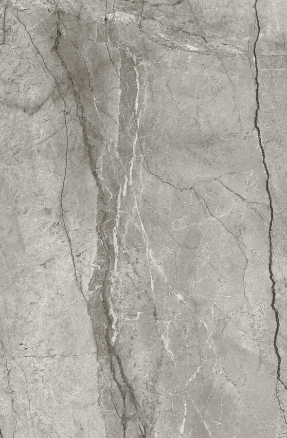 Ceramic Silver Root Grey 590x900