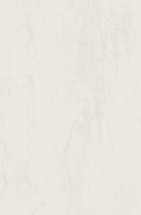 Ceramic Altissimo 590x900