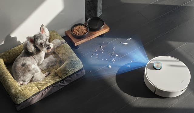 Robotstøvsuger rengjør gulv ved siden av hundeseng.