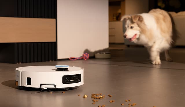 Robotstøvsuger fjerner hundemat fra gulv