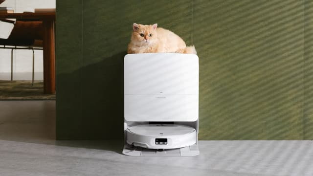 Roborock Qrevo Edge 2 Pro i sin fuldautomatiske dockningsstation, mens en kat sidder oven på den