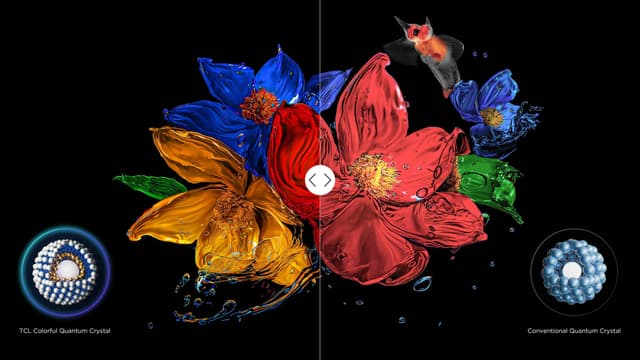 Bilde av fargesterke blomster som viser forskjellen mellom TCL Colorful Quantum Crystal og Conventional Quantum Crystal
