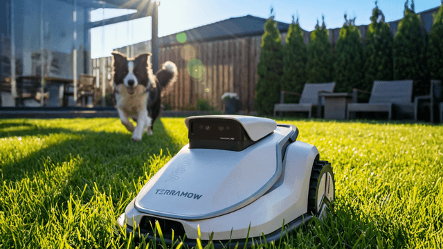 En hund løper mot en Terramow-robotgressklipper som står midt på en frodig hageplen.
