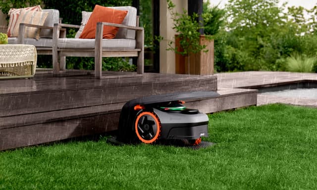 Navimow-robottiruohonleikkuri leikkaa nurmea terassin vierestä