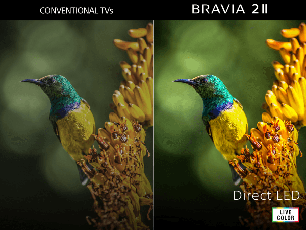 Live color, två bilder av en färgglad fågel, bilden till höger är mer livfull medan bilden till vänster är mindre skarp.