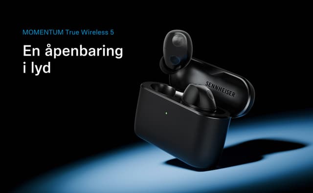 Momentum True Wireless 5-banner