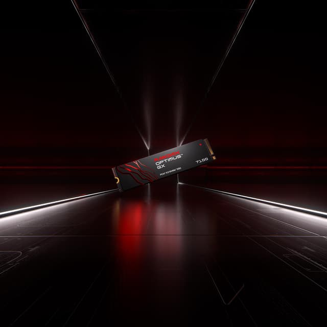 SANDISK Optimus GX  7100