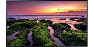 B2B - Business signage - Samsung 75 signage screen