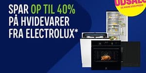 WEB ARTIKEL - 750x444