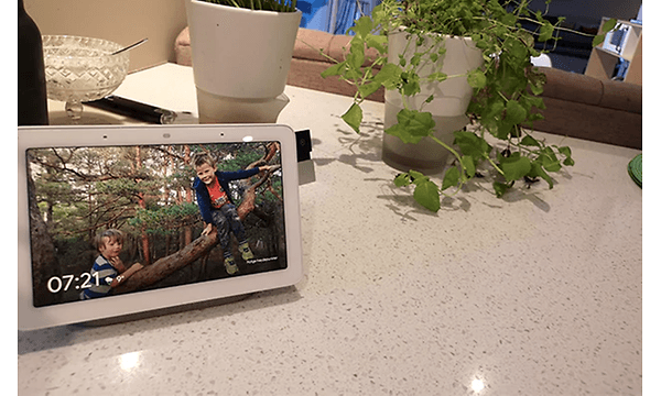 Google nest gallery jossa näkyy kuva kahdesta pojasta puussa