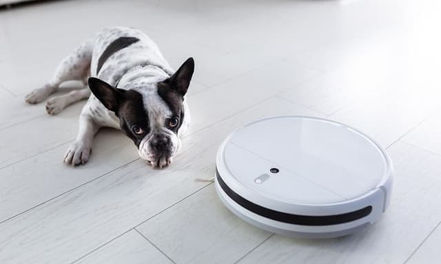 Robotstøvsuger og en hund