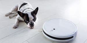 Robotstøvsuger og en hund