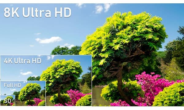 TV-8K bild på färgglada träd i olika upplösning.