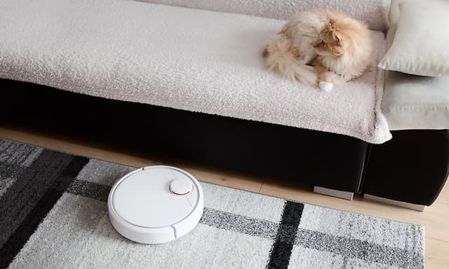 Kat i en sofa og en robotstøvsuger på gulvet