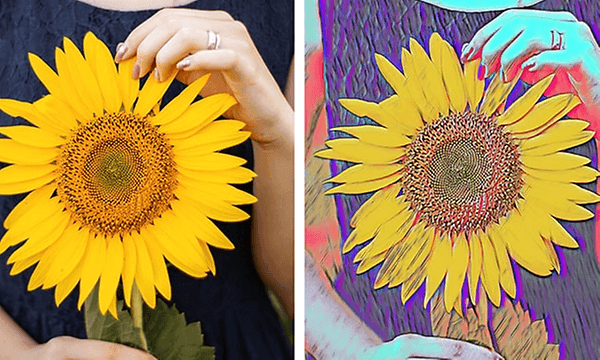 Två bilder av solros, en vanlig och en manipulerad