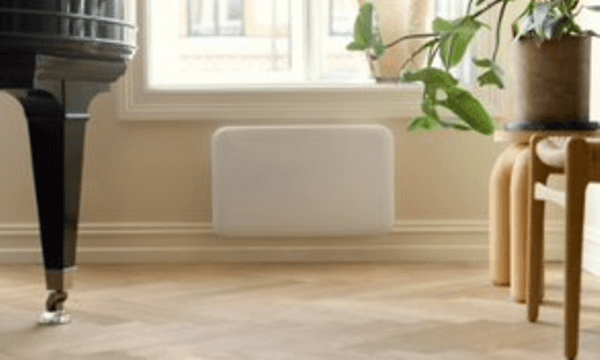 Plante og radiator i et moderne rum