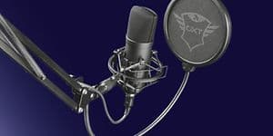 Mikrofon och popfilter