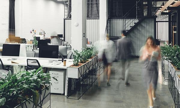 Airthings Wave Plus monteret på væg på et kontor