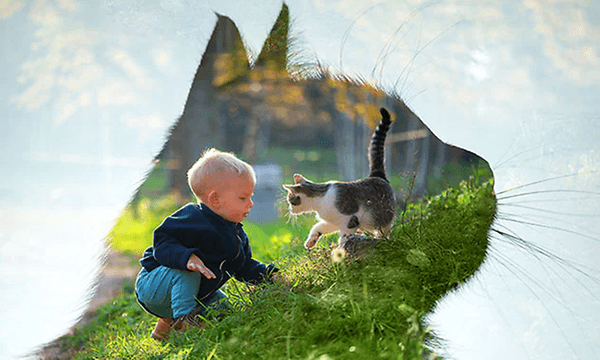 et barn sitter i en grønn bakke sammen med en katt