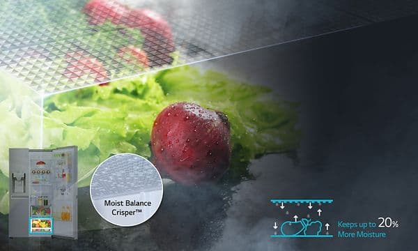 moist-balance-crisper