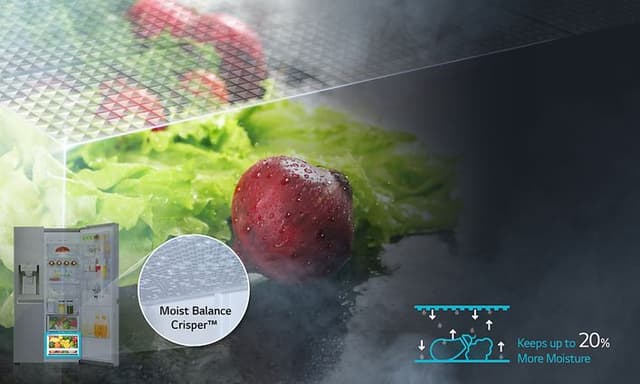 LG med Moist Balance Crisper