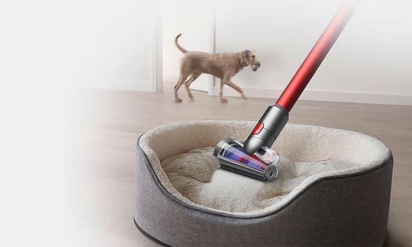 En Dyson Outsize Absolute-støvsuger rengjør en hundeseng