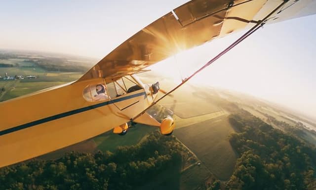 Et gult fly over et landskab