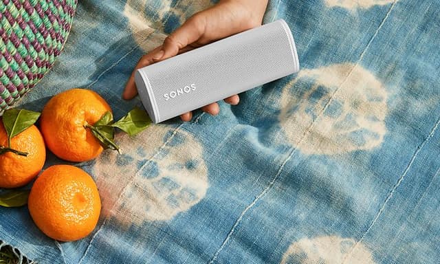Sonos Roam på piknikteppe