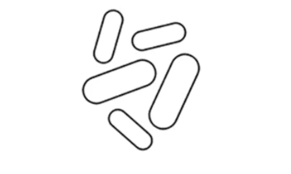 allergensymboler