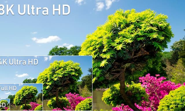 TV-8K illustration showing colorful tree in different resolutions