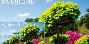 TV-8K illustration showing colorful tree in different resolutions