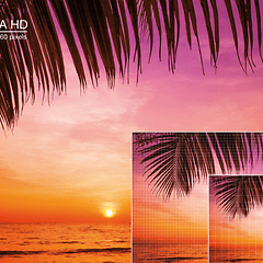 4K Ultra HD TV -näyttö jossa näkyy palmun oksia ja meri auringonlaskun aikaan
