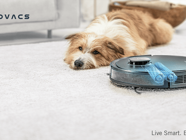 SDA - Ecovacs - top banner with a dog and a robot vacuum