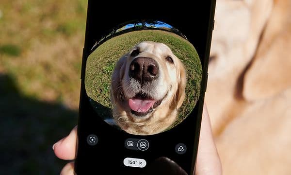 mobil tar bilde av hund med fiskeøyeeffekt