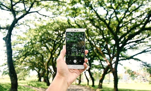 cellphone-6580302_1920