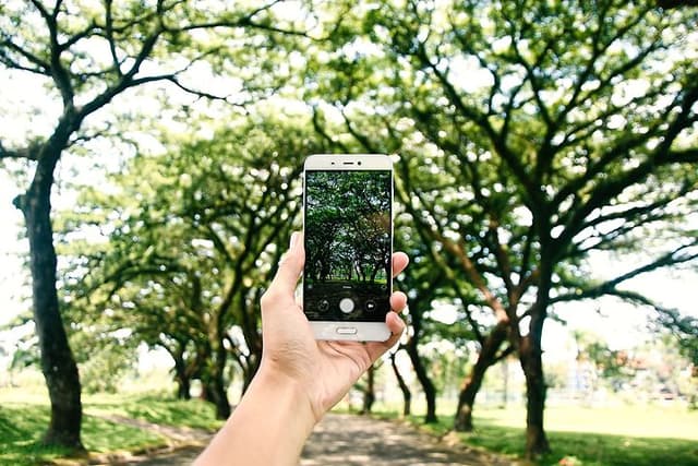 cellphone-6580302_1920