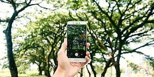 cellphone-6580302_1920
