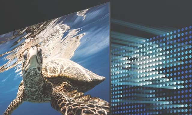 Samsung-TV-Sköldpadda på skärm