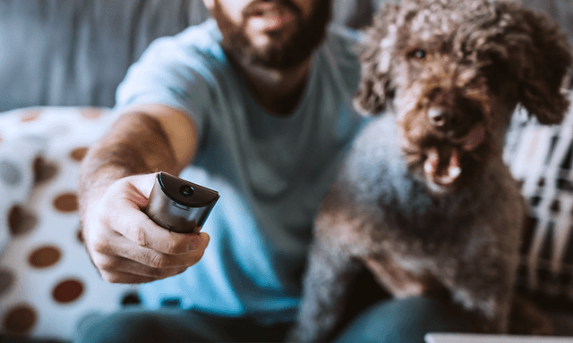 mann med fjernkontroll og hund