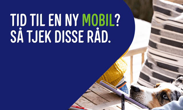 1024x768px-mobil-kategori-trusted-advisor-2022-uden-cta
