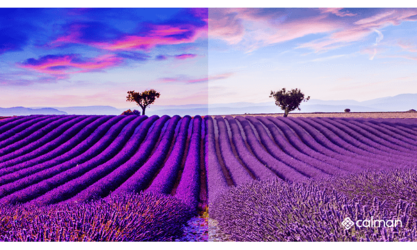 Calman-comparing field of lavender with and without calibration