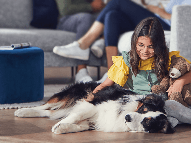 Philips luftrenser ved siden af barn og hund