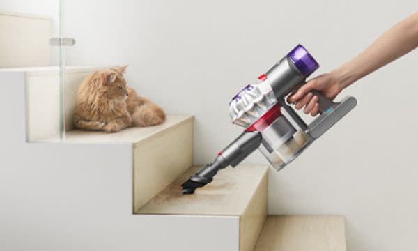 Dyson V8 Absolute i håndholdt modus støvsuger trapper nær en katt
