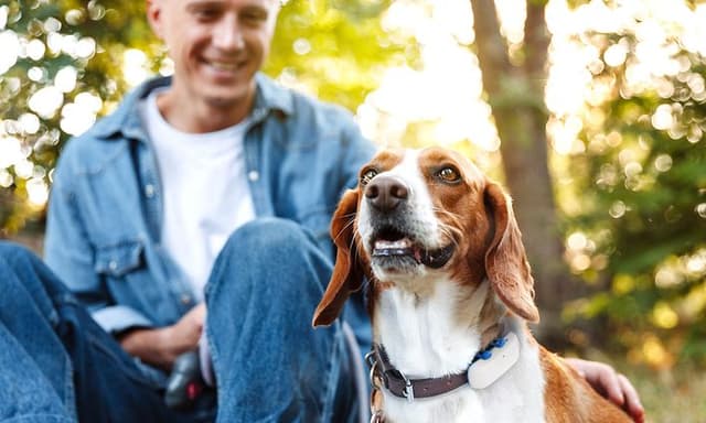 en hund står foran person i blå og hvite klær
